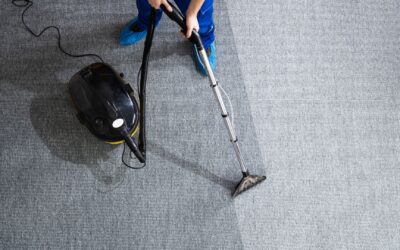 Special Cleaning Projects: Carpets, Hard Floors, Windows, and More